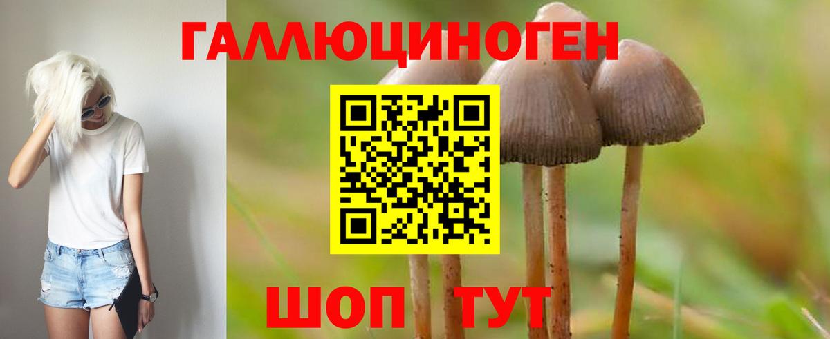 Истра  Псилоцибиновые грибы ЛСД  Вход с VPN 
